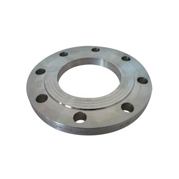 高质量ASME B16.5 Wn法兰304 316 304L 316L不锈钢的专业供应商中国制造商 